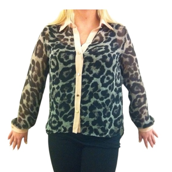 Boutique Sheer Leopard Print Blouse Button Down Small Large - Picture 1 of 1